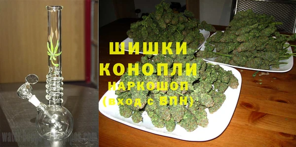 ALPHA PVP Иннополис