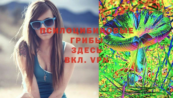 ГАЛЛЮЦИНОГЕННЫЕ ГРИБЫ Зеленодольск