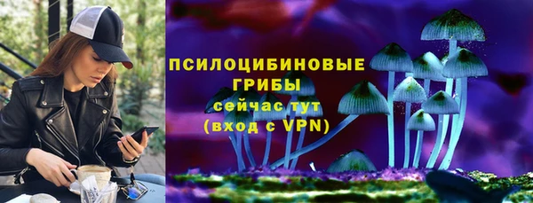 ALPHA PVP Иннополис