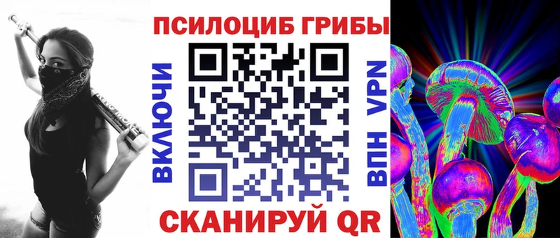 Купить  Болгар  Галлюциногенные грибы Cubensis 
